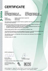 KEMA Certificate